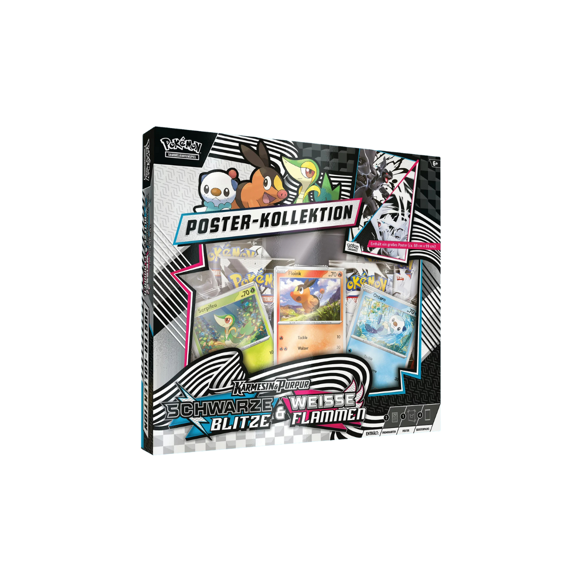 Pokemon Schwarze Blitze & Weiße Flammen Poster Kollektion